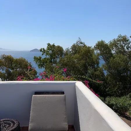 Patmos Confidential סקאלה