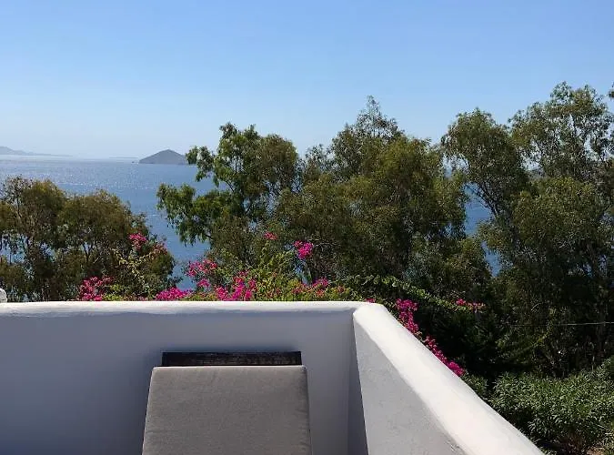 Patmos Confidential سكالا
